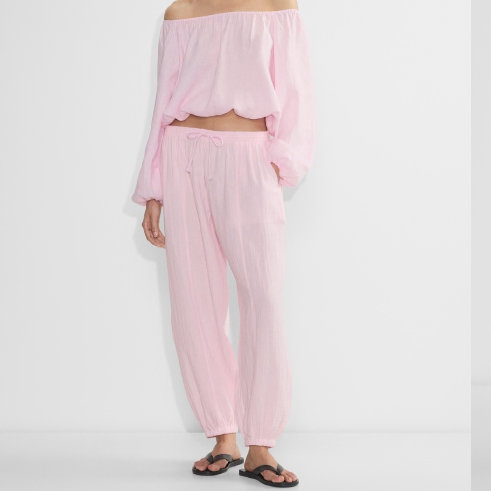 Aritzia little moon atlas pant